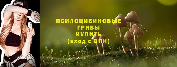 мяу мяу мука Аркадак