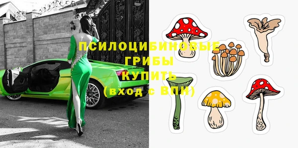 мяу мяу мука Аркадак