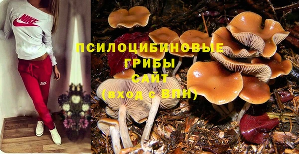 мяу мяу мука Аркадак
